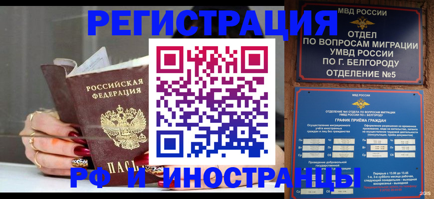 прописка в Покрове